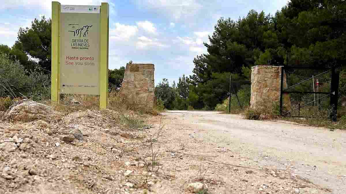 Accesos al Parque Nacional Sierra de las Nieves desde Yunquera (Entrada), con panel, pinos y carril.